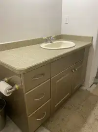 48 bathroom vanity.   