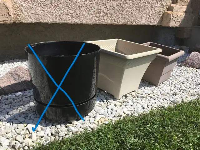 PLANTING/FLOWER POTS62854392000643122