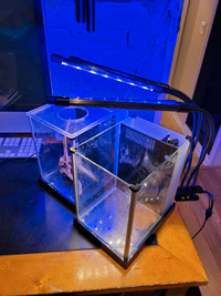 2 X Small fish tank with LED lights.