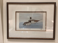 Vintage Watercolour Two Pintail Ducks Signed Callety