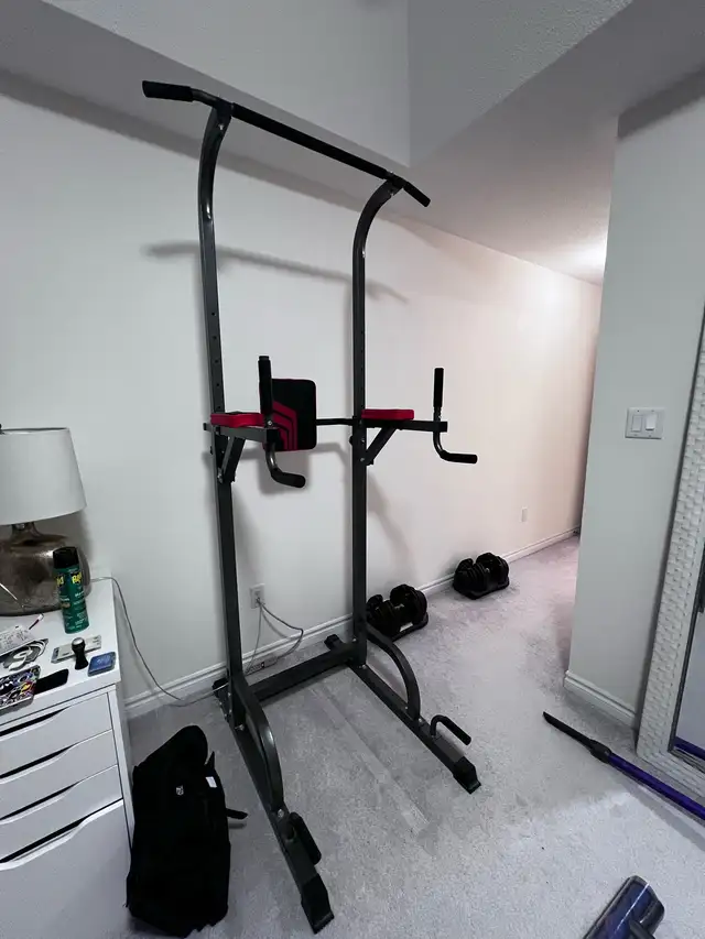 Adjustable Pull-up Bar Dip Station628543916700191222