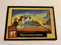1994 Dynamic Escape of the Dinosaurs #37 - Pachycephalosaurus NM