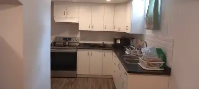 Room for Rent: $550  everything included
