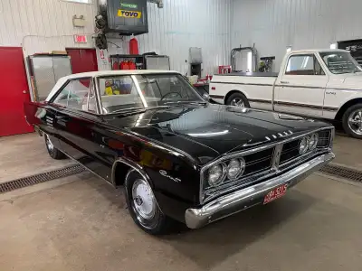 Voici une Dodge Coronet 500 1966 classique, un véritable morceau d'histoire automobile ! Bien qu'ell...