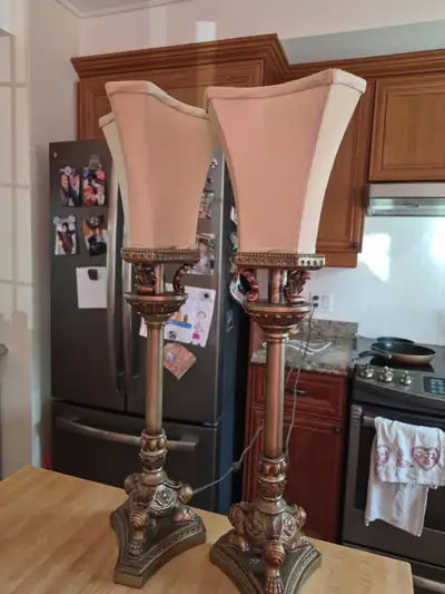 en très bon état aucun bris, pas tachées éclairage d'ambiance 25½'' hauteur fil avec interrupteur (p...