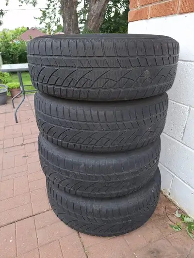 Evergreen Winter Tire & Rims Size 225/65R17