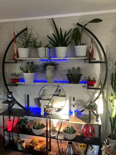 plant circle shelves, View more