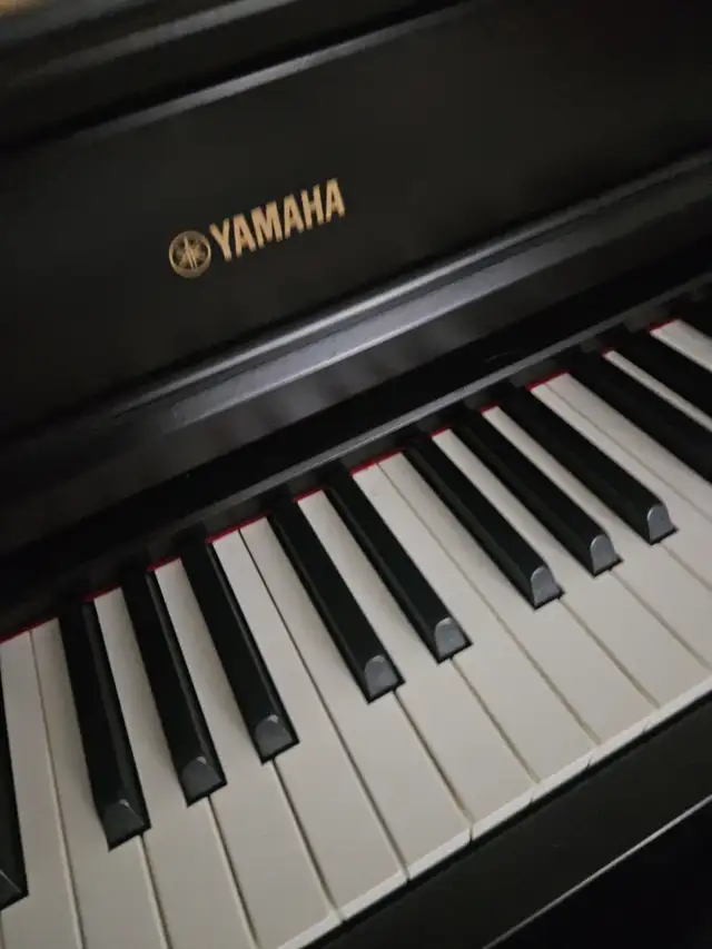 Yamaha Digital Piano in Pianos & Keyboards in Edmonton - Image 3