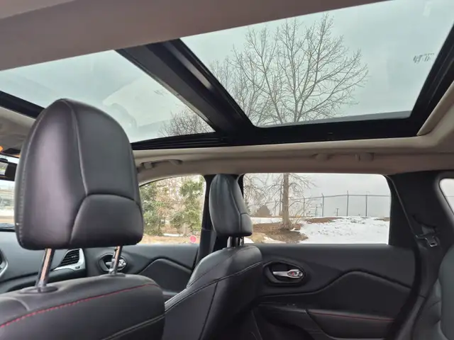 2016 Jeep Cherokee Trailhawk   115 KM5230461321648742411
