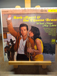 Herb Alpert & the Tijuana Brass "What Now My Love" Vinyl LP