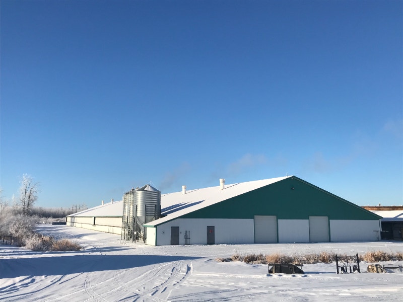 Farm Worker, Poultry General Labour Edmonton Kijiji