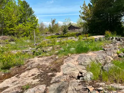 We have vacant lot for sale and if anyone are planning to built their own house , this is for you ....