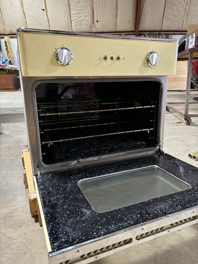 Big Chill Retro 30” Retro Wall Oven in Stoves, Ovens & Ranges in Saskatoon - Image 4