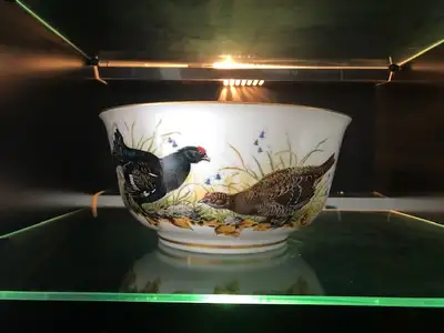 Iconic Franklin Mint - Porcelain Collector's Bowl 10" in diameter Excellent Condition (no chips, cra...
