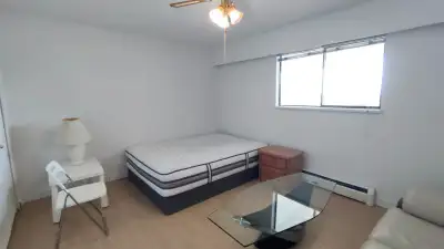 Helping my present tenant subletting his room. Available on Dec. 1st Upper floor room furnished with...