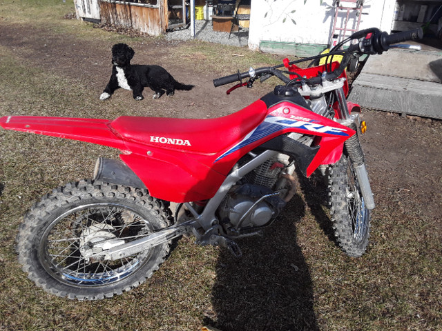 2022 Honda Crf125f in Dirt Bikes & Motocross in Quesnel