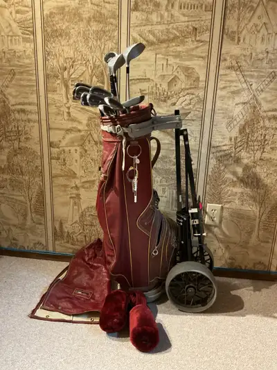 MacGregor Titan Golf Clubs, View more