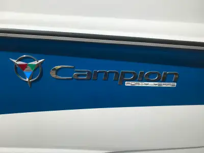 comme neuf, au lac ouareau, pas beaucoup utilise ces dernières années, et peu d'heures. plateforme e...