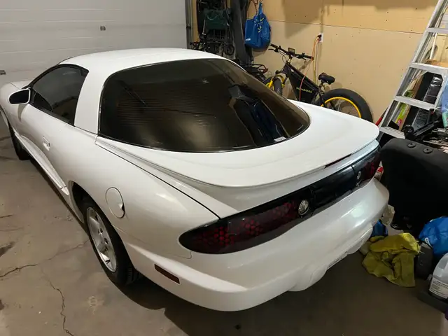 beautiful 98 firebird576046251315056647
