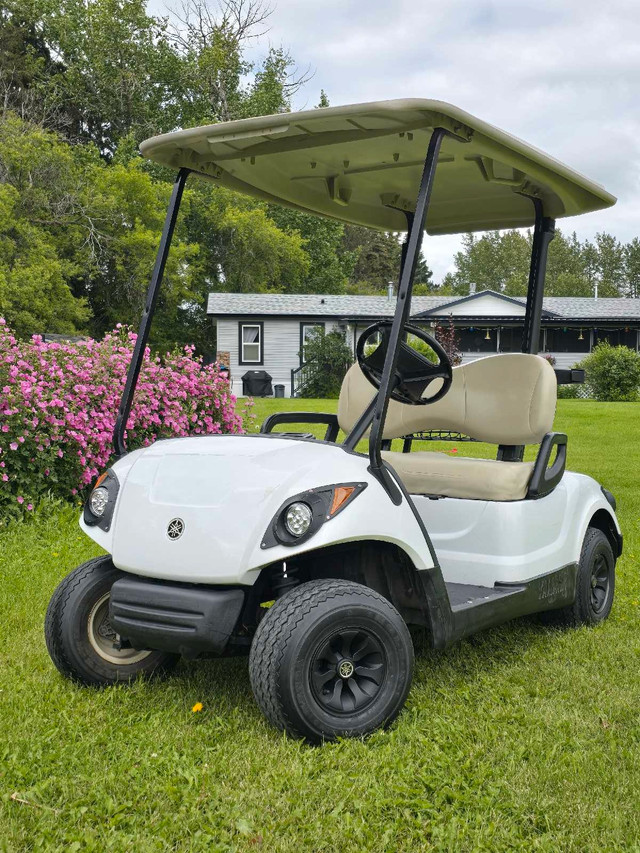 2008 Yamaha G29 Gas golf cart  in Other in Red Deer