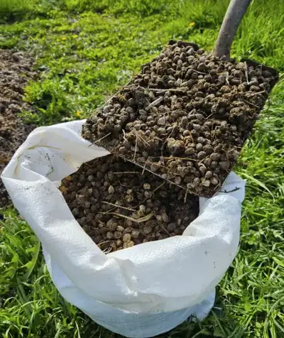 Gardening Rabbit Manure, View more