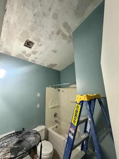  Professional Painter & Handyman affordable Weekend Jobs, View more