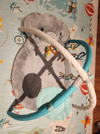 Bright Starts Enchanted Elephants Activity Gym