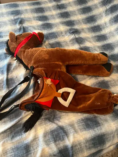 Horse and Rider Halloween costume , View more