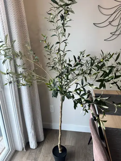 NEW 6’ FAUX OLIVE TREE, View more