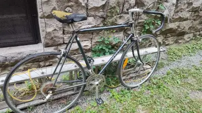 Norco vintage bike, View more