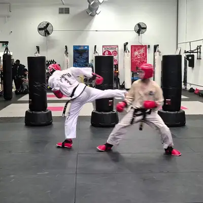 Free Taekwondo Classes, View more