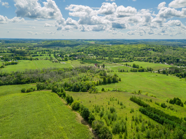 Amazing Vistas In All Directions  in Land for Sale in Trenton - Image 4