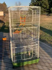 Rat Cage For Sale