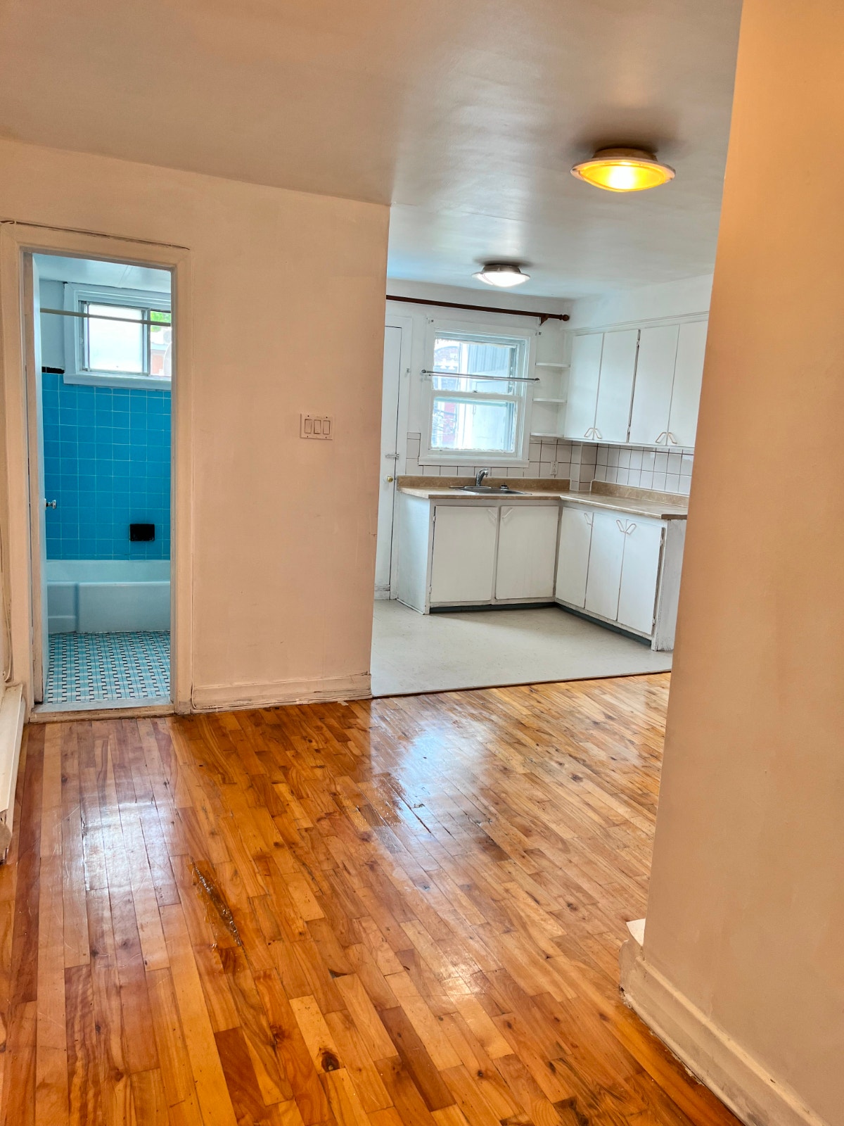 Un mois gratuit!! 4.5  2 ch. fermées   Beaubien,Petite-Patrie — photo 3