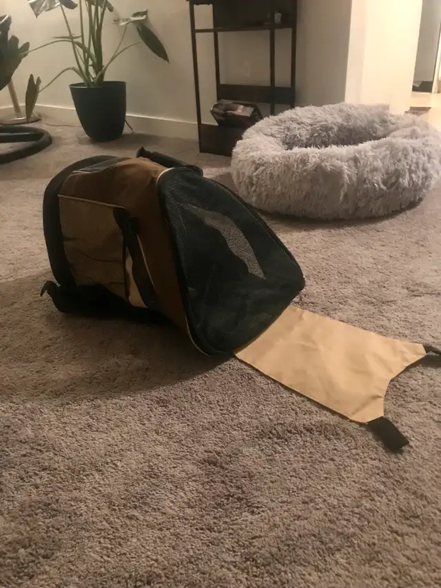 Pet carrier/backpack in Accessories in North Shore - Image 3