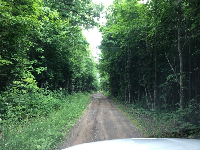 Rare ! Terre à bois de 7 arpents avec cabane – Saint-Barthélemy — photo 1
