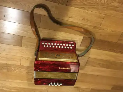 Accordeon diatonique Lignatone, View more