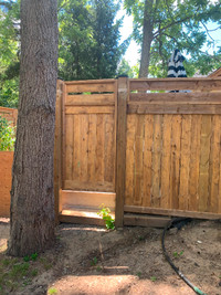 Fence , railings and post holes