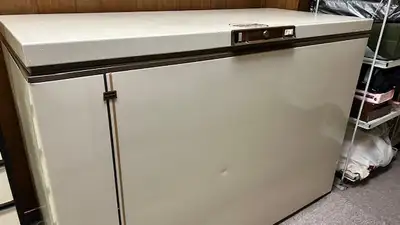 Chest Freezer - family size, View more