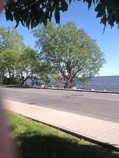 55 Chem. du Bord-du-Lac-Lakeshore — photo 1