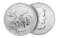 lot de 10 rcm pièces argent/silver coin 1 oz .9999