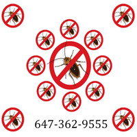 Cockroaches Control    Services    6473629555