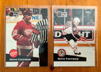 1990-91 Detroit Red Wings Hockey Players cards