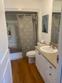 2 Bed, 1 Bath Apartment Available for July 1st (Lease Takeover)