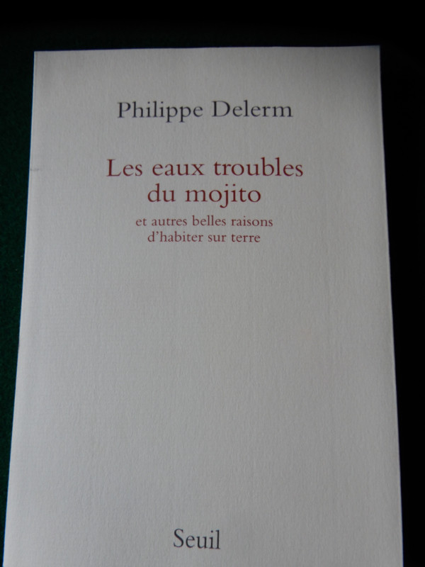 Philippe DELERM cinq (5) petits BIJOUX littéraires dans Ouvrages de fiction  à Sherbrooke - Image 3
