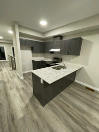 Brand New Town Home In Collingwood