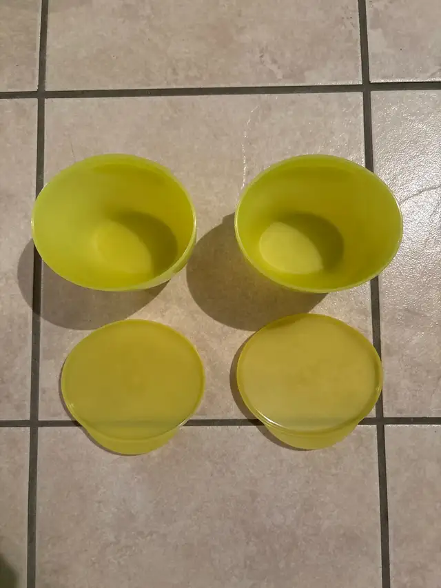 Tupperware Chip and Dip Set430219743085219843