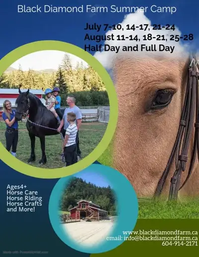 summer horse camp , View more