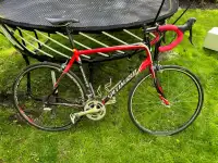  Specialized  Roubaix Carbon Bike