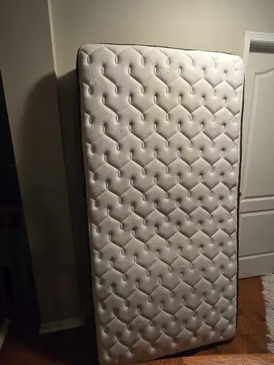 Sealy Organic Cotton Twin Mattress, View more